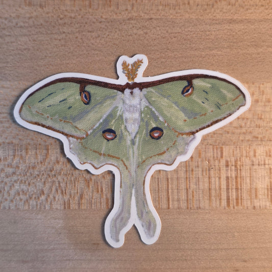Luna Moth Sticker
