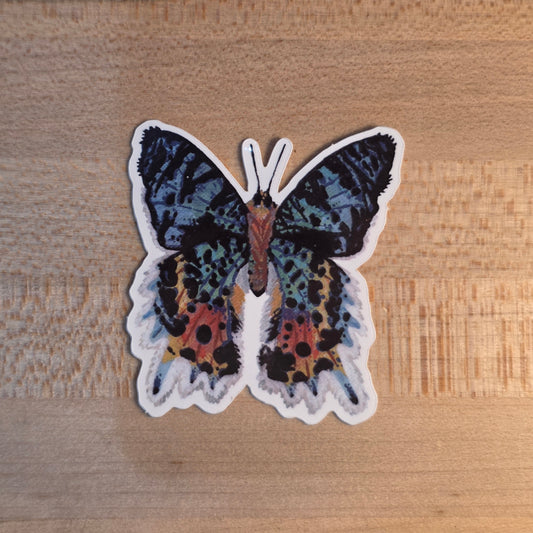 Madagascar Sunset Moth Sticker