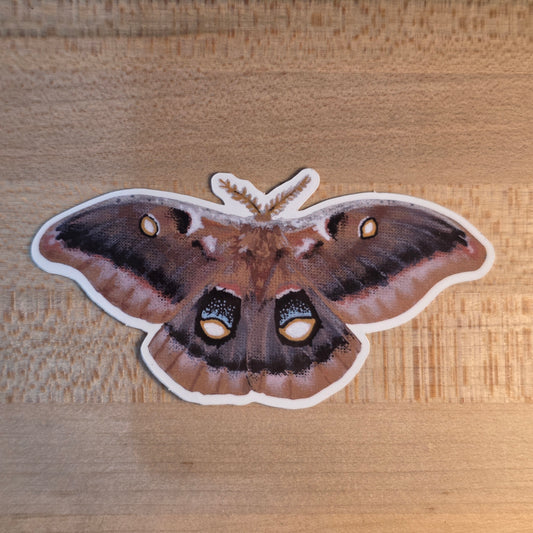 Polyphemus Moth Sticker