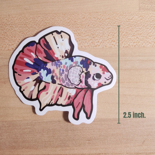 Plakat Male Betta Fish Sticker